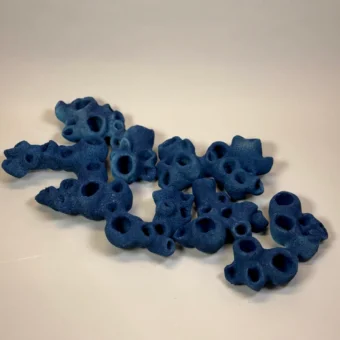Blue Sponge Coral