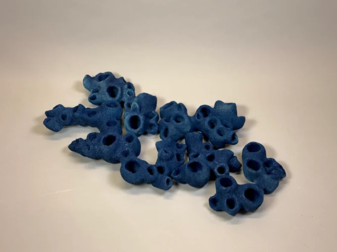 Blue Sponge Coral