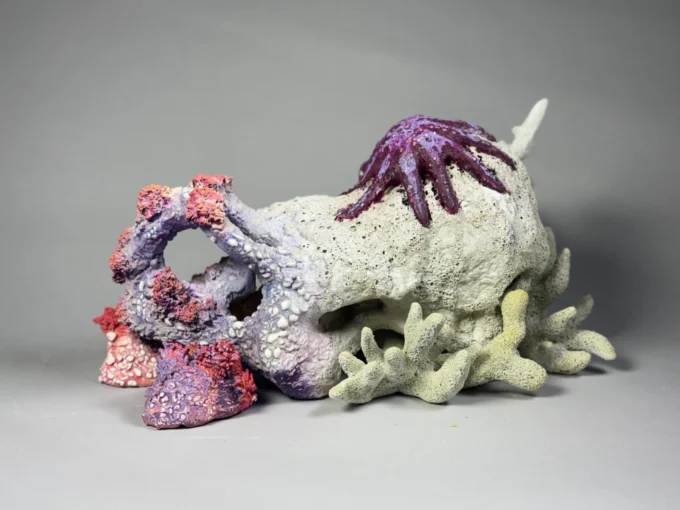 Crown Of Thornes Starfish